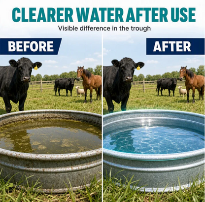 🚜💧 Alghe e melma nell'acqua degli abbeveratoi? – Pastiglie detergenti a dissoluzione rapida per abbeveratoi per bestiame – acqua pulita senza bisogno di strofinare, basta metterle dentro 🐄✨